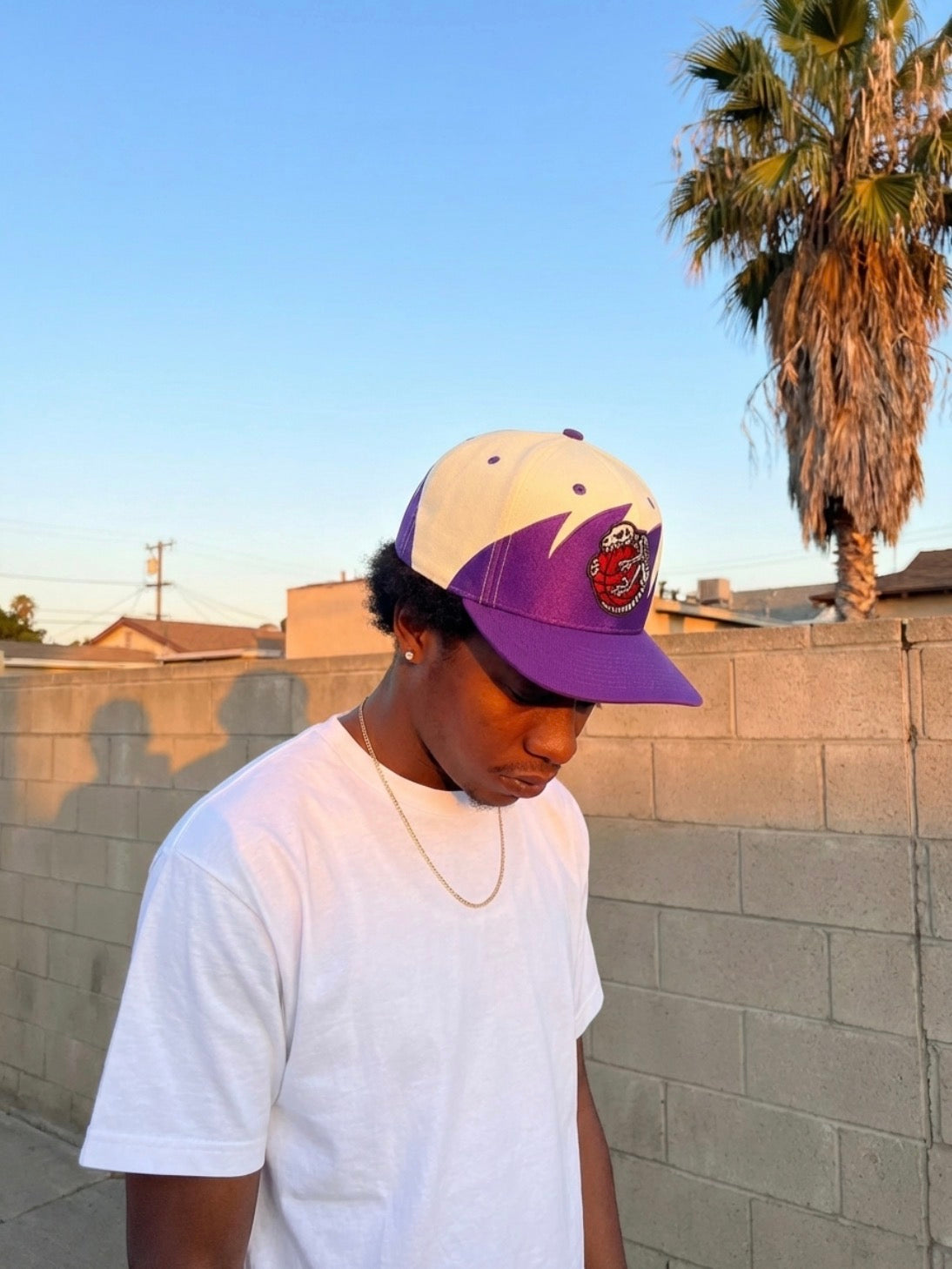 Vintage Raptor Fossil Snapback