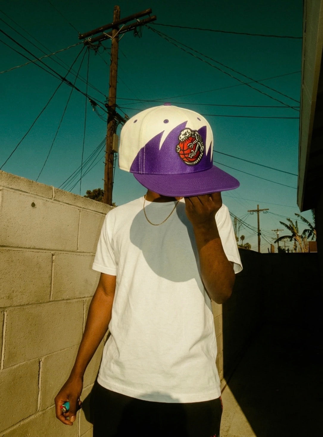 Vintage Raptor Fossil Snapback