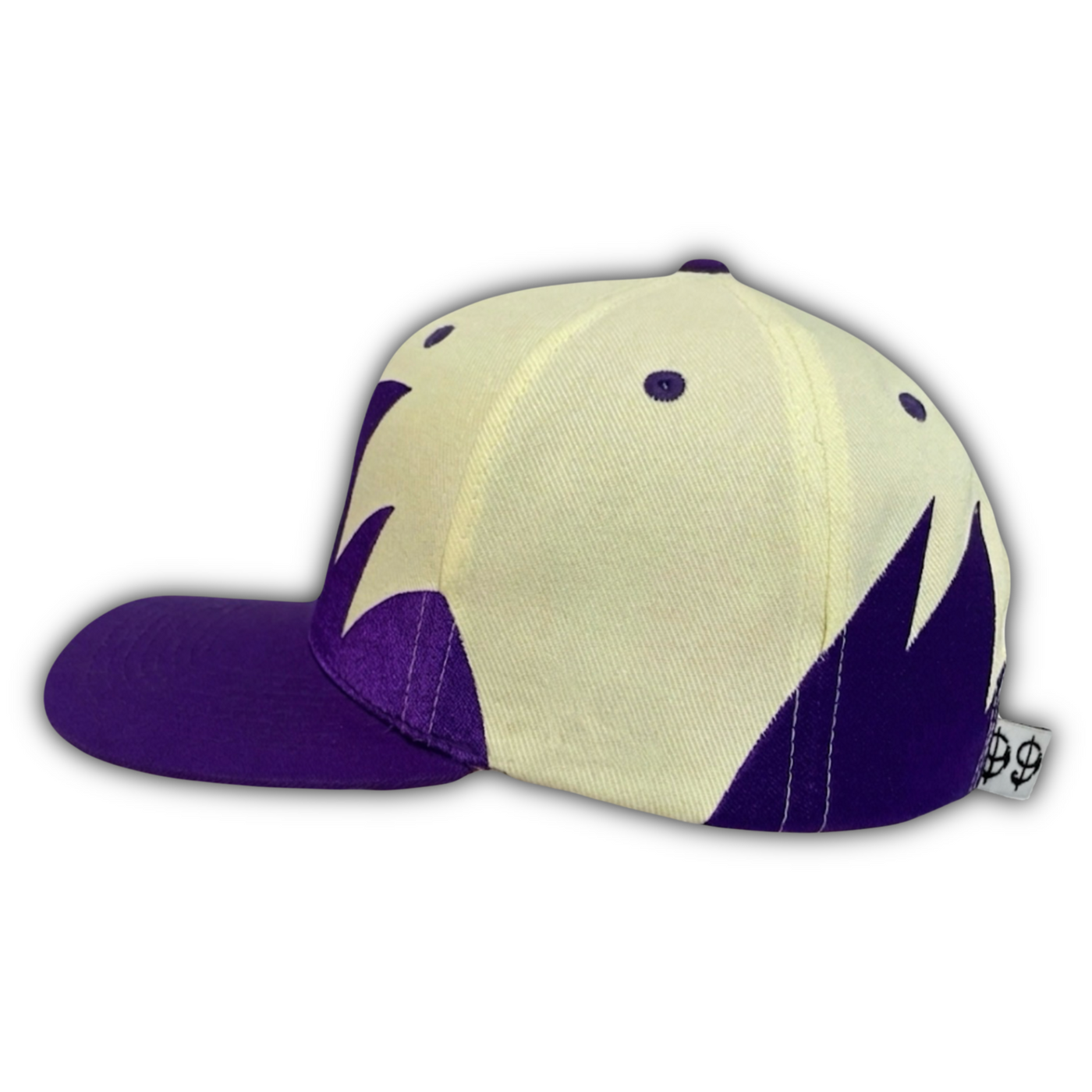Vintage Raptor Fossil Snapback