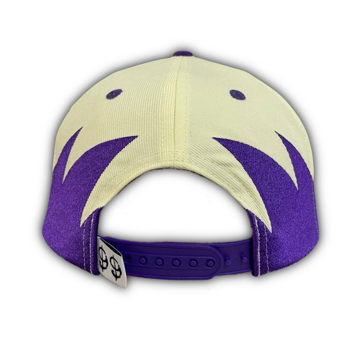 Vintage Raptor Fossil Snapback