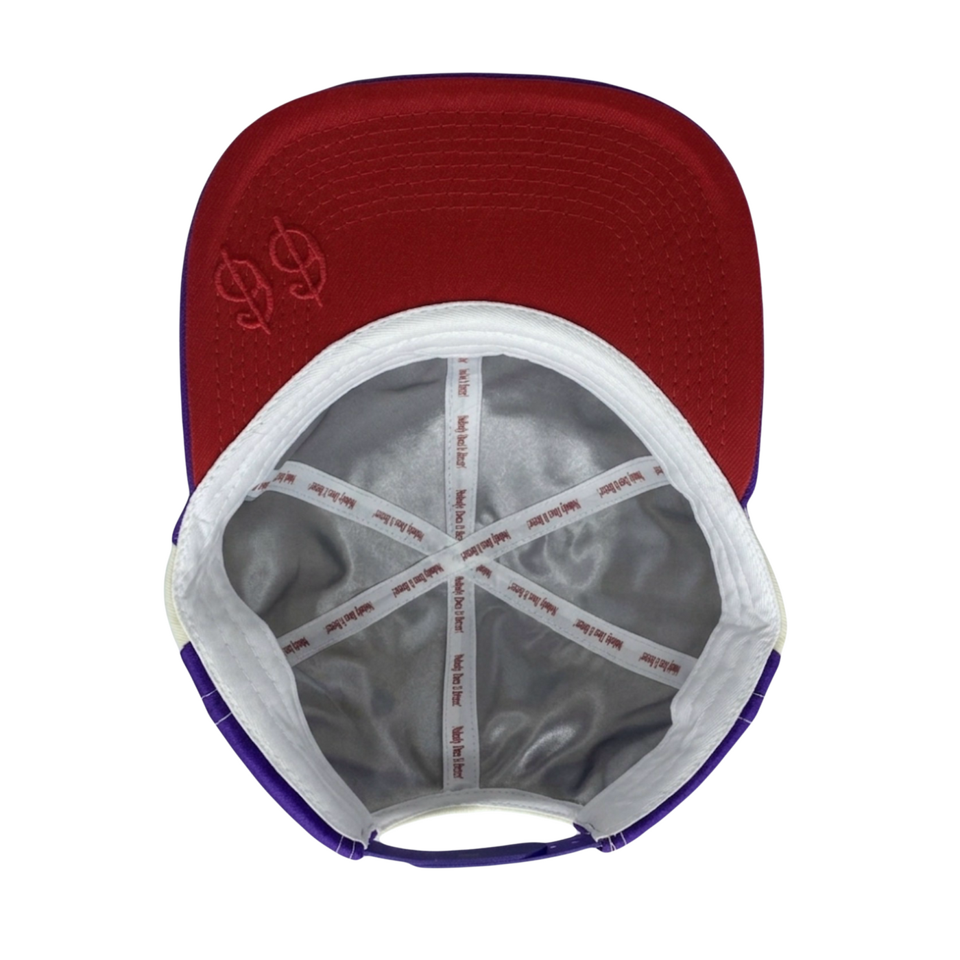 Vintage Raptor Fossil Snapback